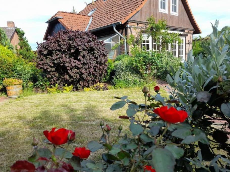 Ferienhaus Gartower See Exterior photo