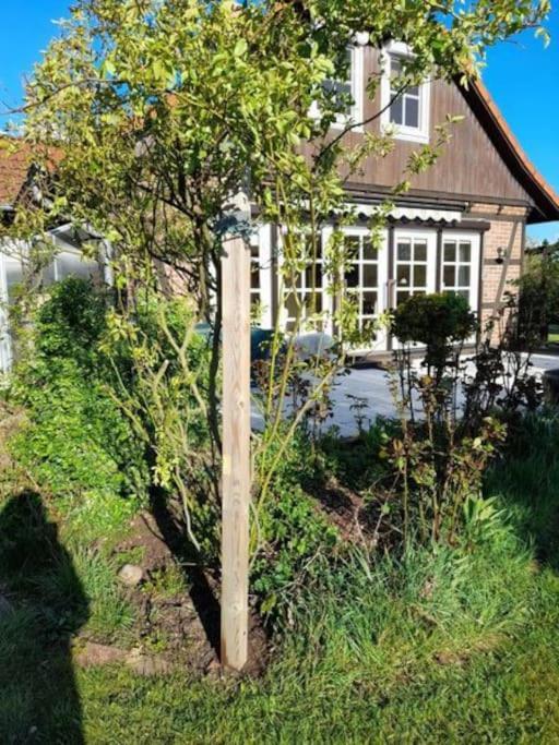 Ferienhaus Gartower See Exterior photo