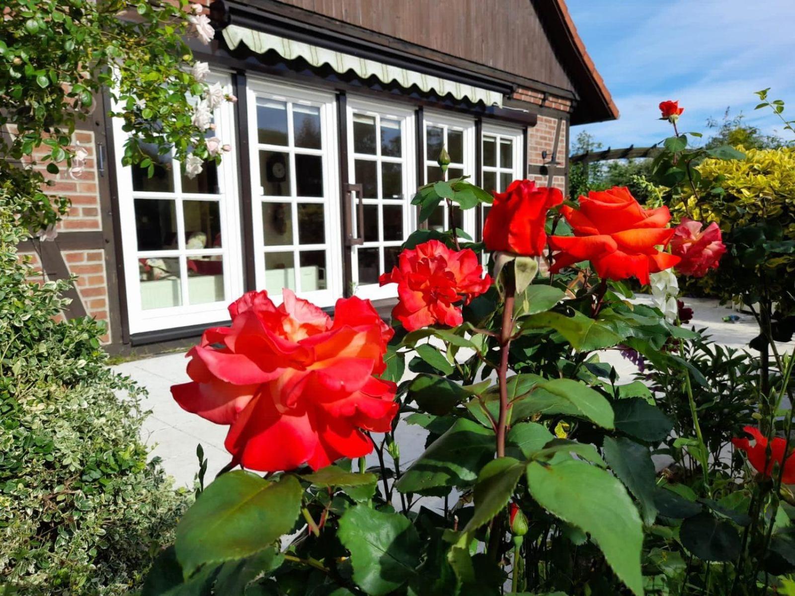 Ferienhaus Gartower See Exterior photo